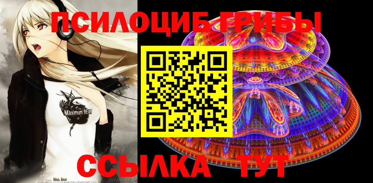 Грязи  Галлюциногенные грибы прущие грибы  Вход с VPN 