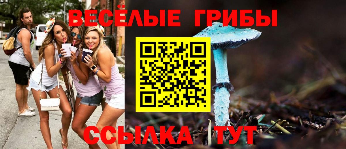 Псилоцибиновые грибы мицелий Грязи